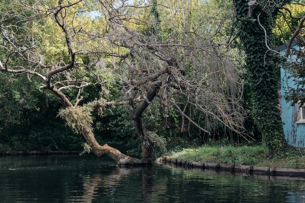 Éliminer les Anomalies en Stérilisation Médicale : Stratégies Efficaces et Mesures à Adopter!